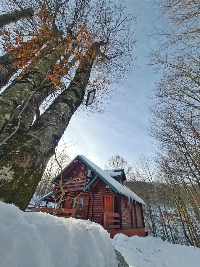 콜라신 Vikendica Crkvina 빌라 외부 사진